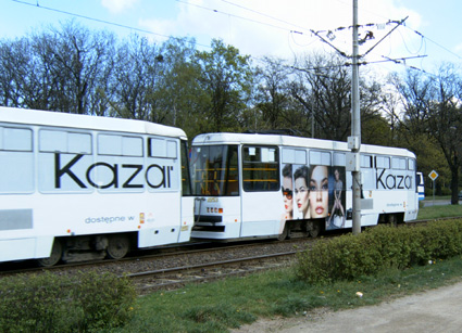 zdjcie z galerii